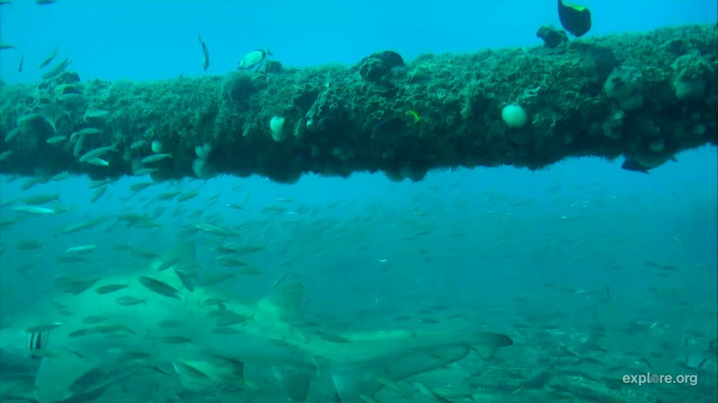 0cdf5df0-2bdc-4132-aadb-ca86b6e7cdbb