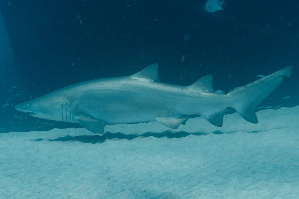 8fd9de9e-9e10-4719-b398-0dbefd85646d