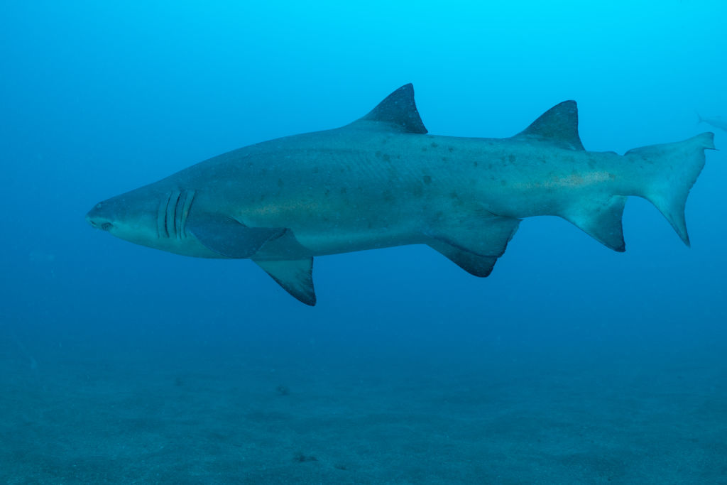 69602333-d57e-4368-9a4d-b5b4be429f4f