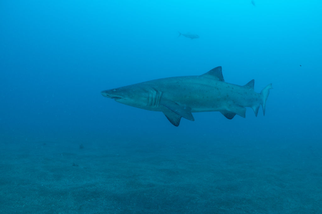 69602333-d57e-4368-9a4d-b5b4be429f4f