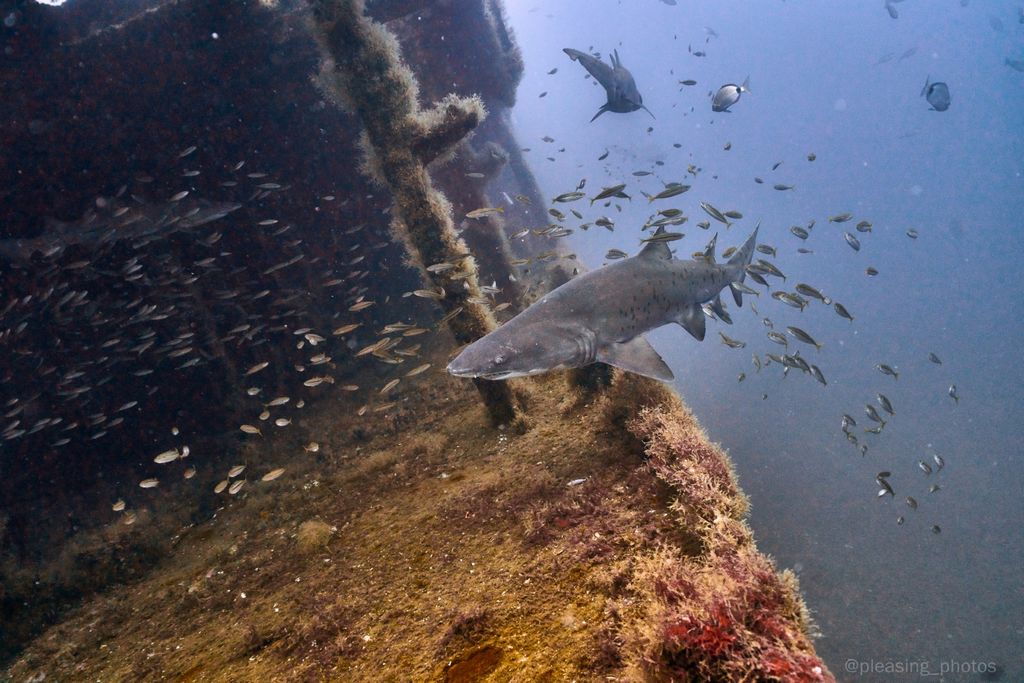 7069c237-8c9e-48bb-8ca6-f050e139fb96