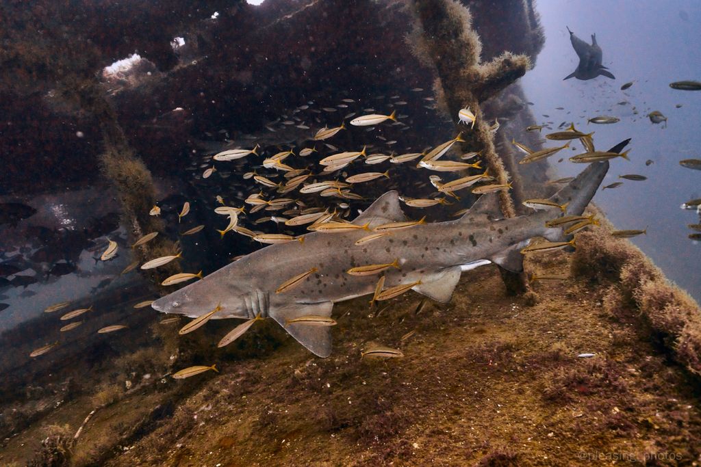 7069c237-8c9e-48bb-8ca6-f050e139fb96