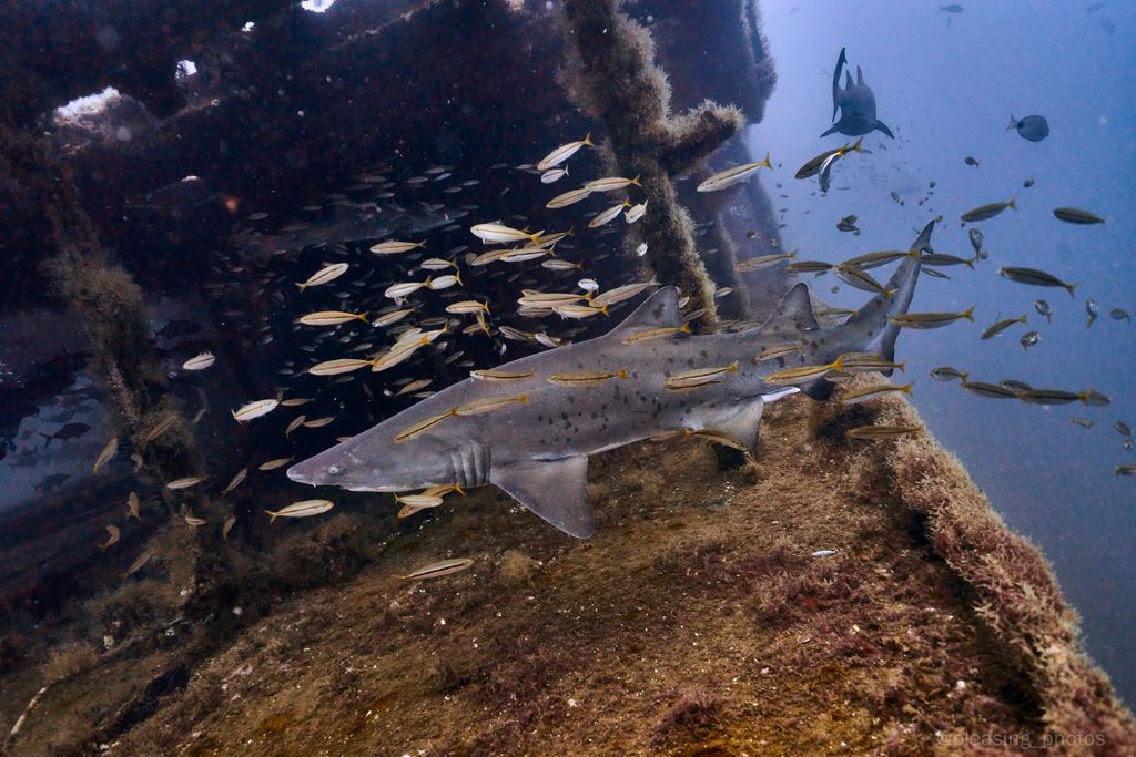 7069c237-8c9e-48bb-8ca6-f050e139fb96