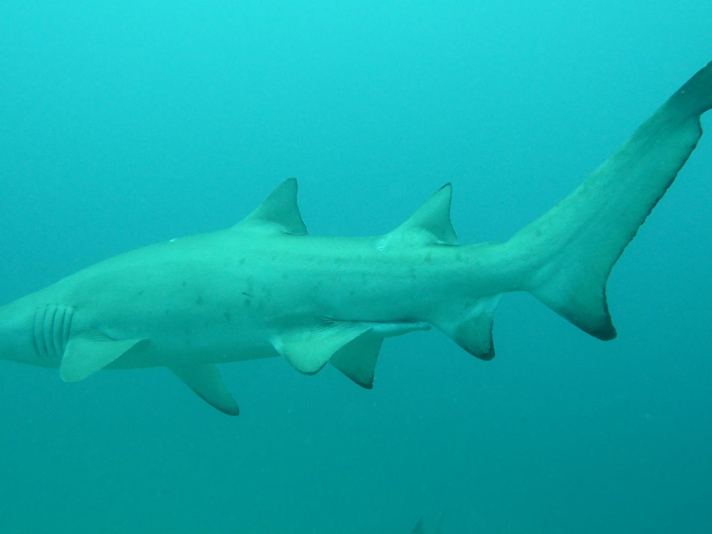 34b332d0-b2ca-4dc5-ab08-63084026d5f1