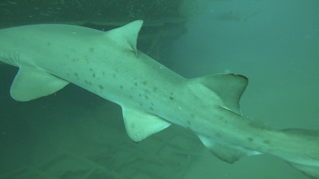 9e5226ff-6352-409a-8442-c622fd99b310