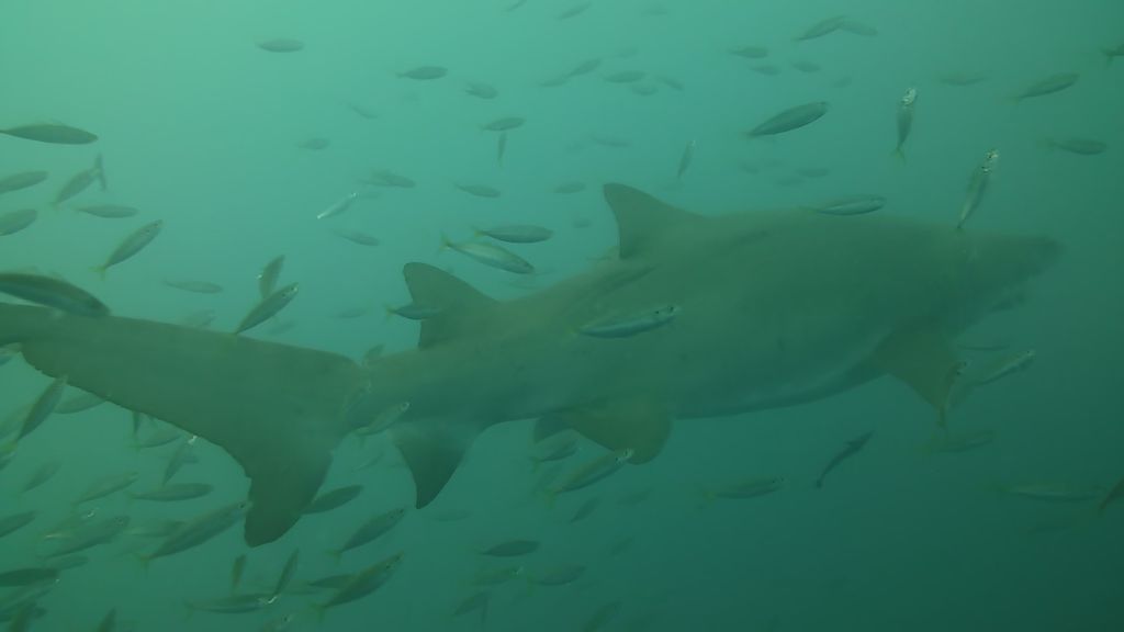 9f13da53-f007-4295-8a2a-a38d161377a2