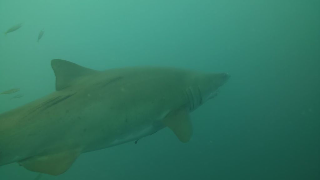 9f13da53-f007-4295-8a2a-a38d161377a2