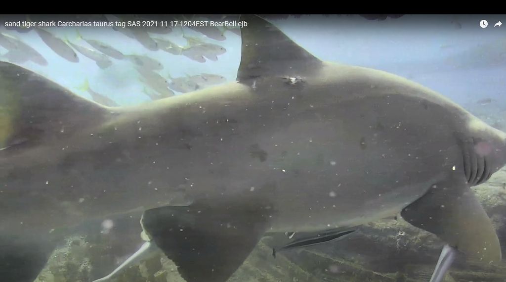 17b6f945-35a1-4025-a032-1b697a6f25e4