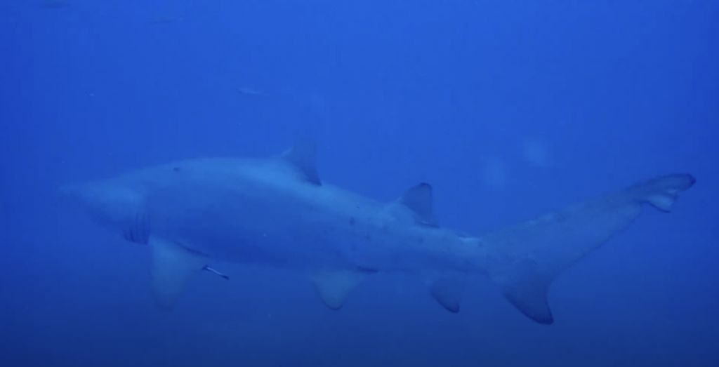 106f13af-8488-4d5e-b803-1b8b295a12f7