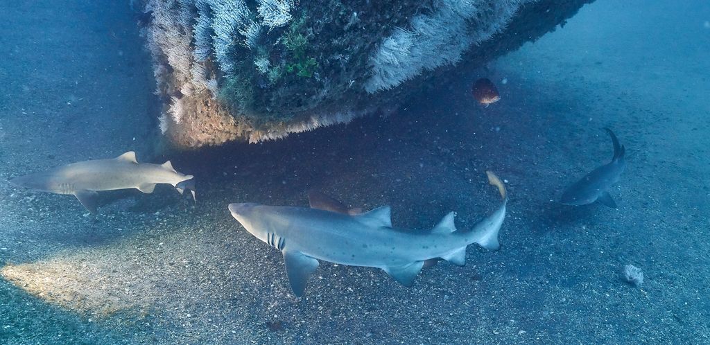 4d3e3286-50e5-4f70-97ca-d40caa4c640d