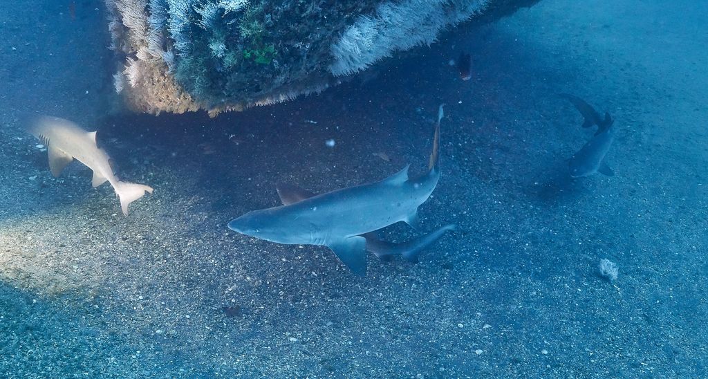 4d3e3286-50e5-4f70-97ca-d40caa4c640d