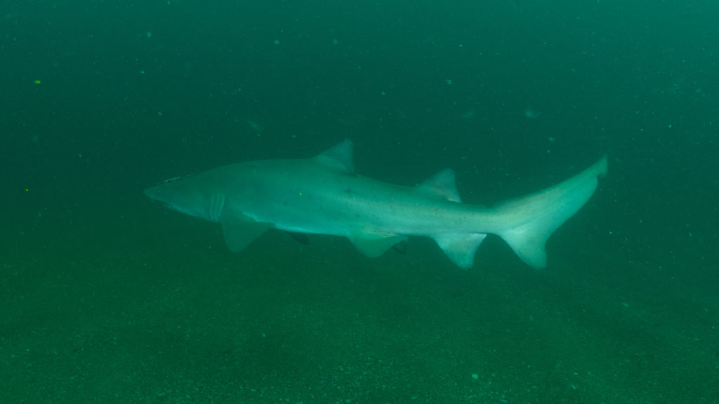 0bb5673f-0c7c-4512-b45e-3c1939d9d94d