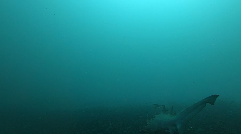 4d584c95-f72f-41f0-96aa-00a21a0e2183