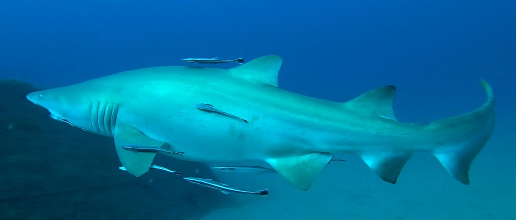 832bcc83-8951-4d9e-a70b-0fc5e8b8e1eb