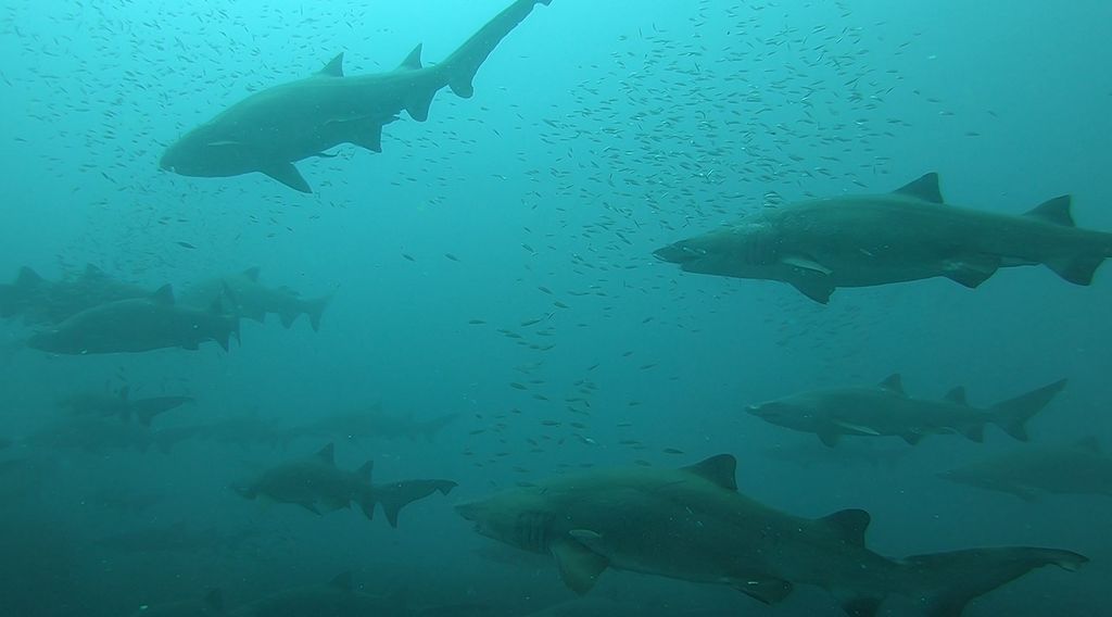 4003a64b-0f41-4690-82e4-615a53f910e9