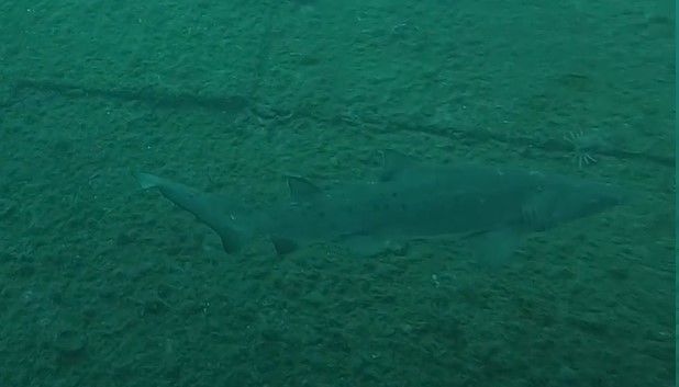 2f4f37a5-8715-4fb0-9a39-58a3af3ad4ce