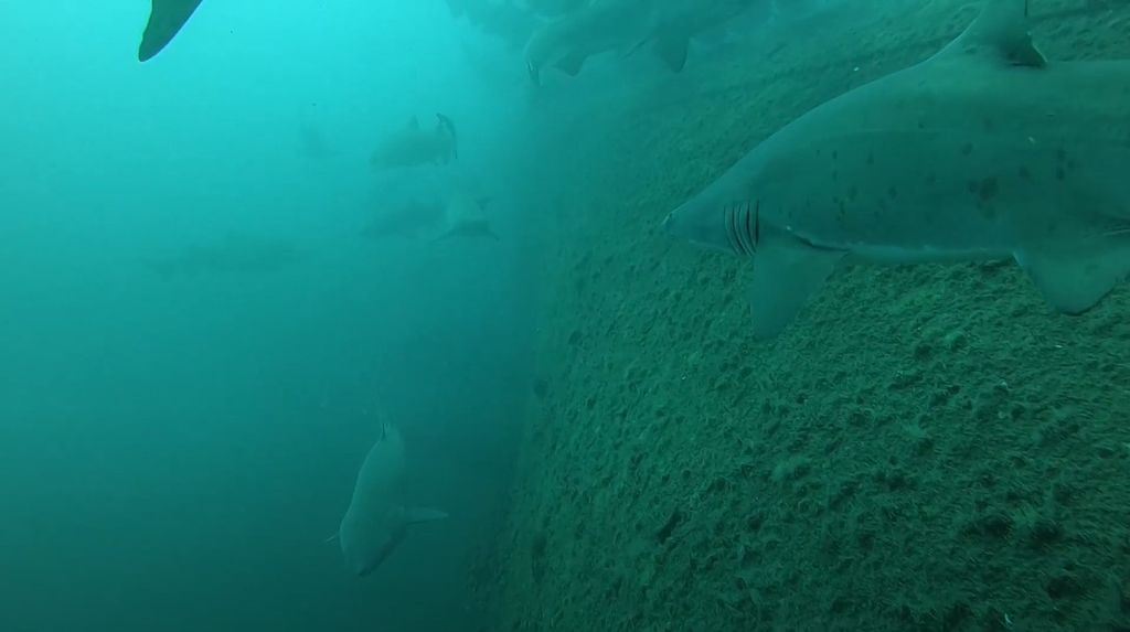 8fd64174-225a-4d74-b410-e6cef21701c3