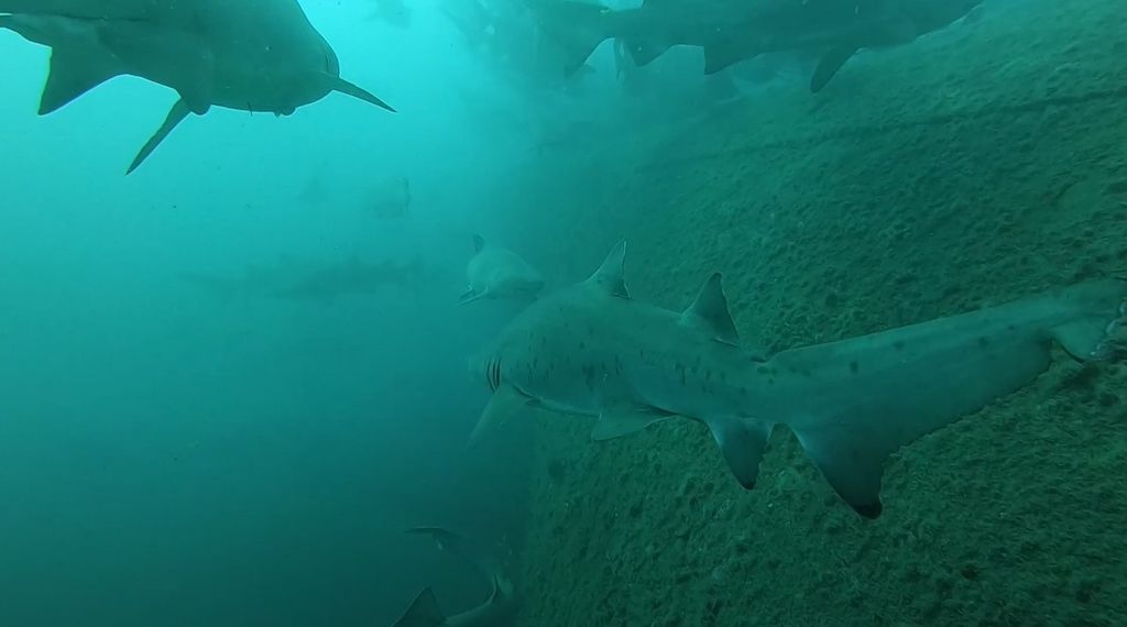 8fd64174-225a-4d74-b410-e6cef21701c3