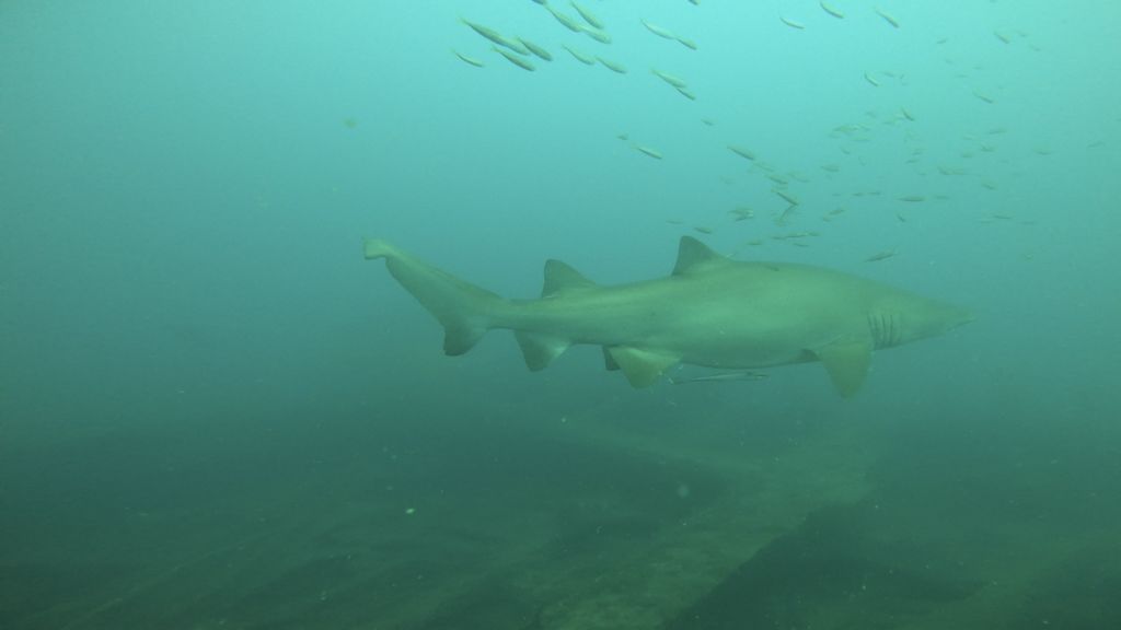 8b542327-ab94-4f3c-b0a2-ebcca2978842