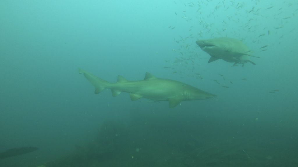 8b542327-ab94-4f3c-b0a2-ebcca2978842