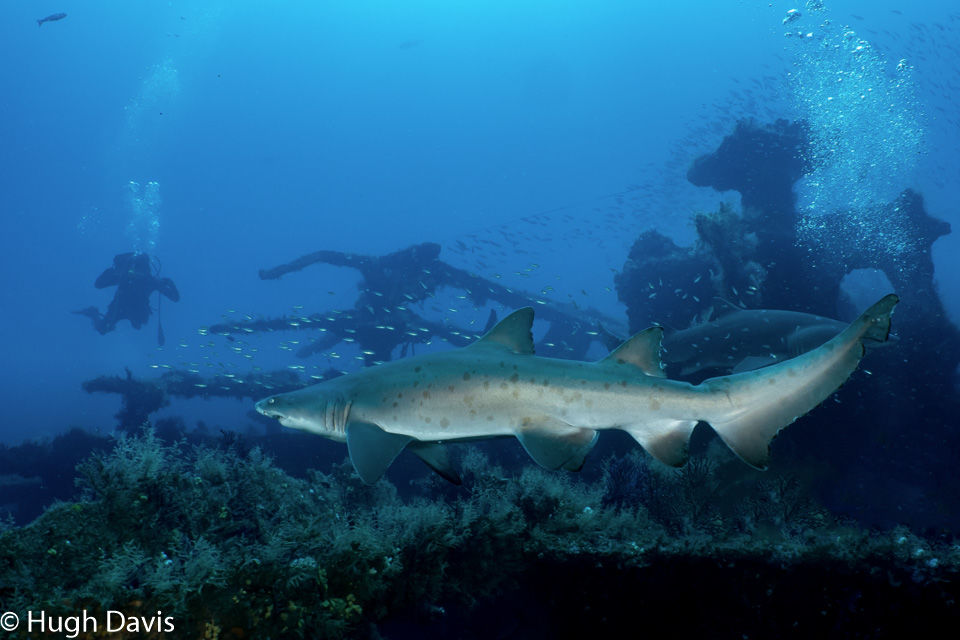 08b411f1-b2f4-4a71-9ea6-d6a582780e87