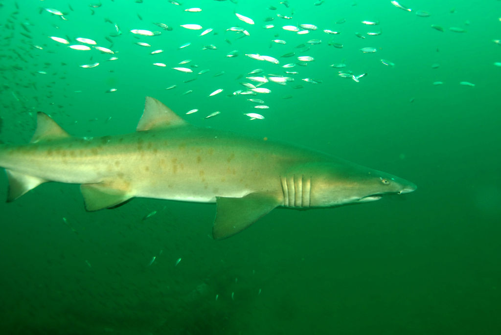 9bcbc536-b9da-4810-aff0-46221c199cbb