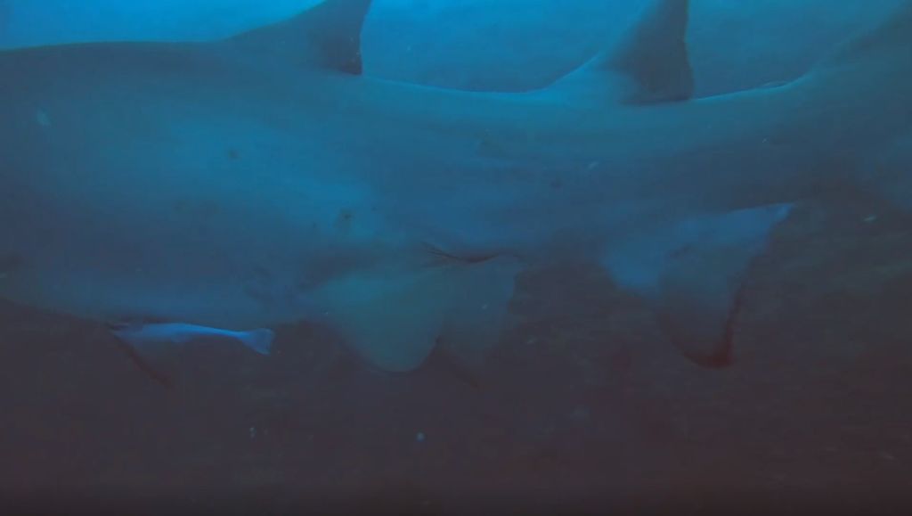 744b45b8-f942-46b4-b629-c5676c223d74