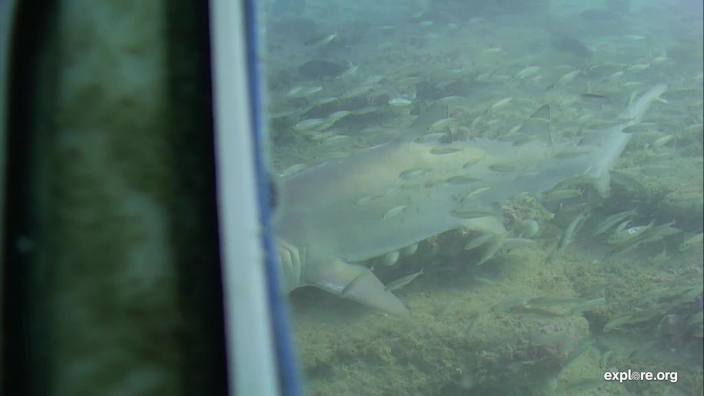 27abaccf-f958-42f2-816d-213a9905cf37