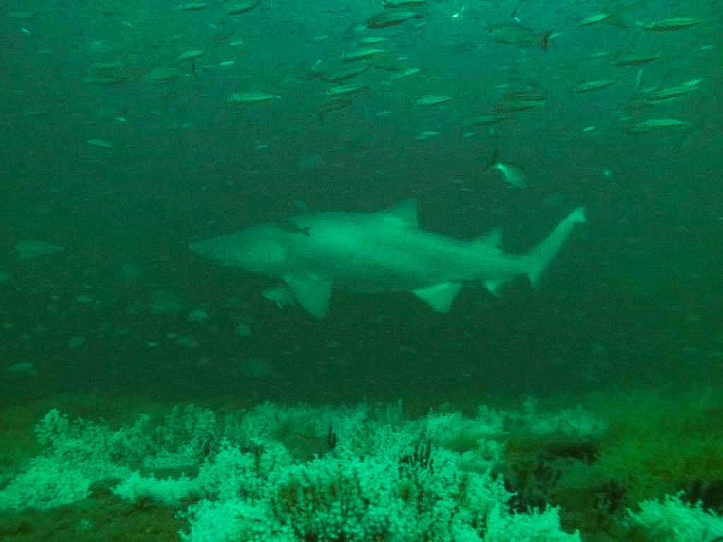 a46bf00f-82fb-48ce-8d14-ae169f0d4b76