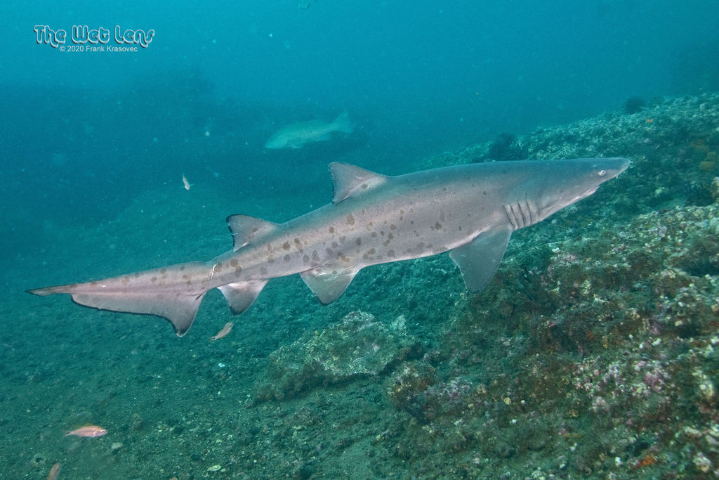 670bbdfd-1d5e-49b7-9a85-b7fae6ee1532