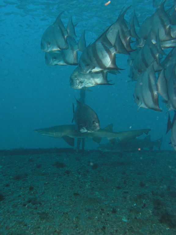 a7b0d6ad-7a14-4dac-9a69-16424cfcf7cc