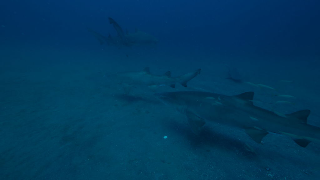 87664080-6936-45ee-a803-8d5e4af5546c