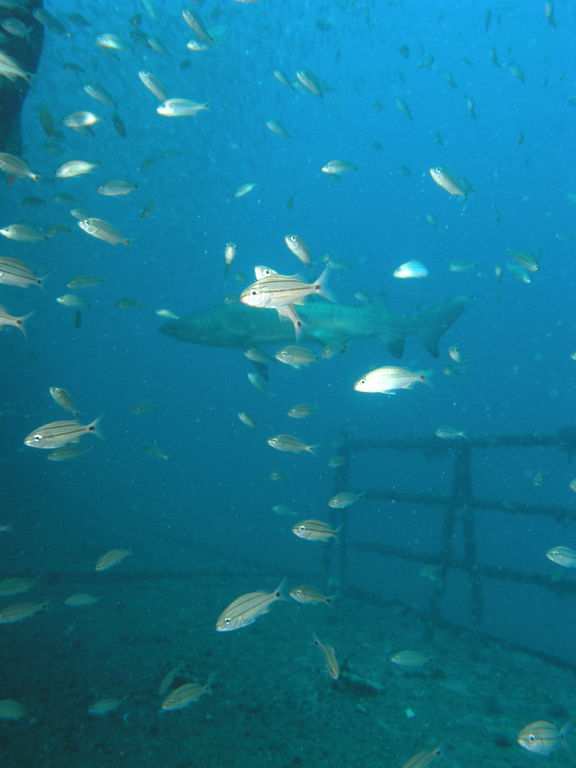 adac298f-1510-4577-b37b-7dc1eca2570a