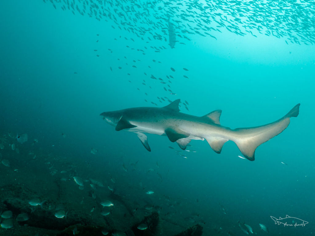 f11efcdd-f647-4105-8397-e7571b6526db