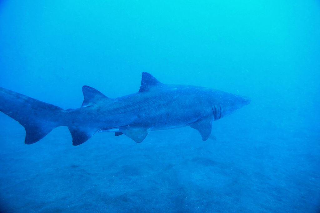 bb05e8a6-76e1-4009-a1e2-e7ea868e2c14