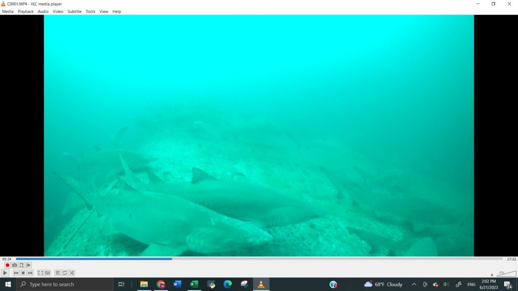 60f61e6b-110b-433d-82f6-c7ca7d334f2a