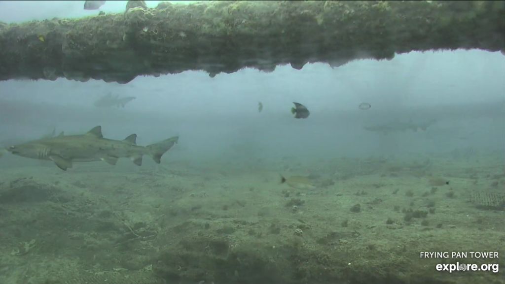 12aa0fcf-9c6a-41b5-88ed-653b7456f087