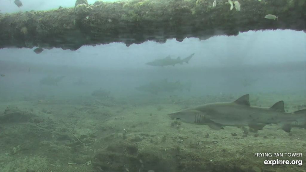 12aa0fcf-9c6a-41b5-88ed-653b7456f087