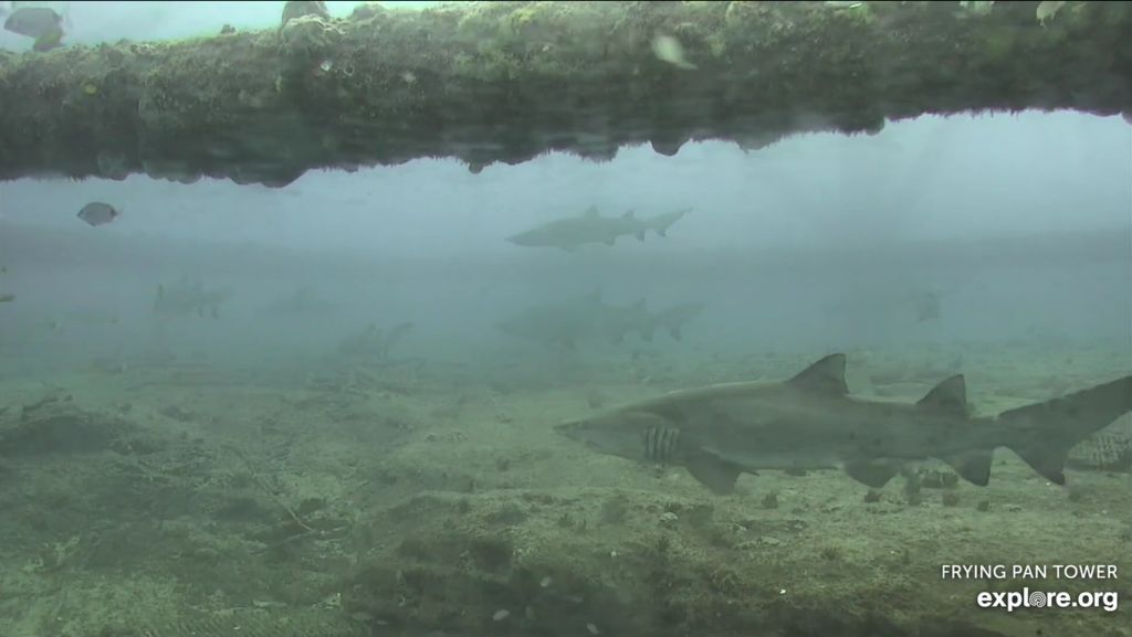 12aa0fcf-9c6a-41b5-88ed-653b7456f087