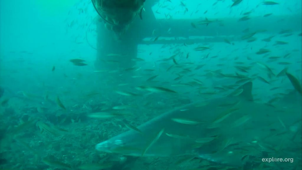 cd095164-9668-4e81-b1d0-3e1f15ff6829