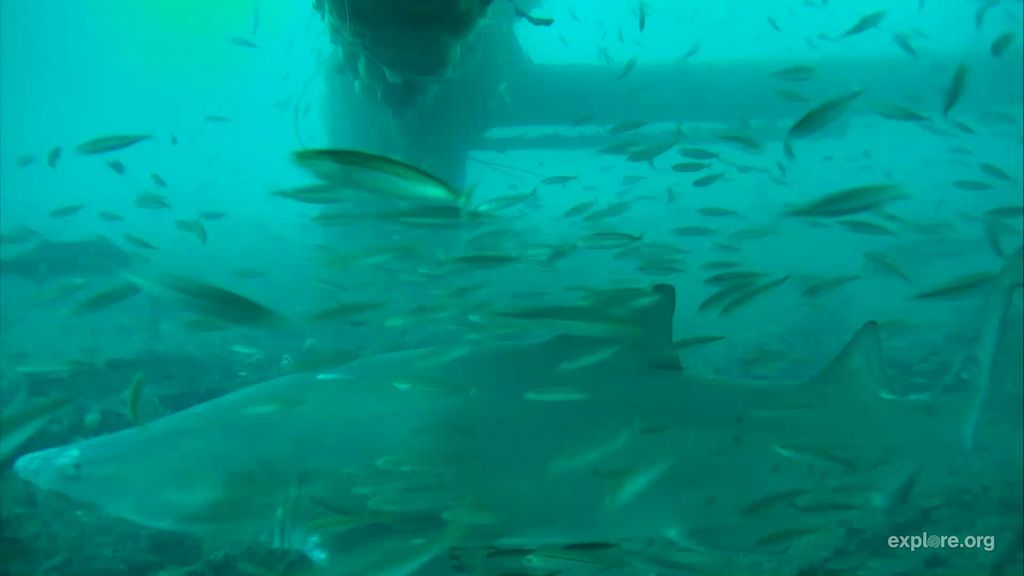 cd095164-9668-4e81-b1d0-3e1f15ff6829