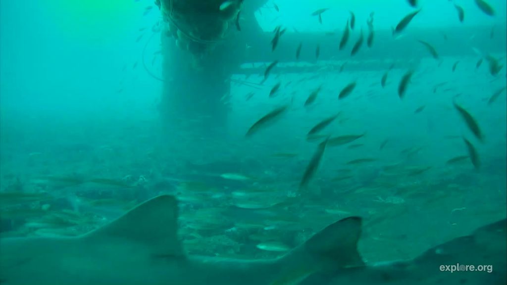 cd095164-9668-4e81-b1d0-3e1f15ff6829