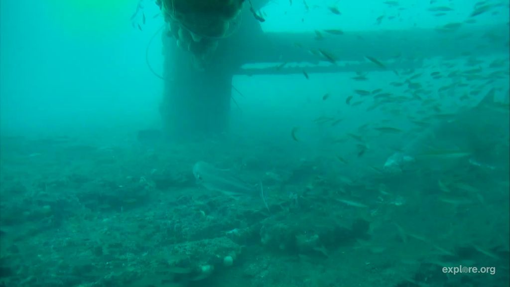 cd095164-9668-4e81-b1d0-3e1f15ff6829