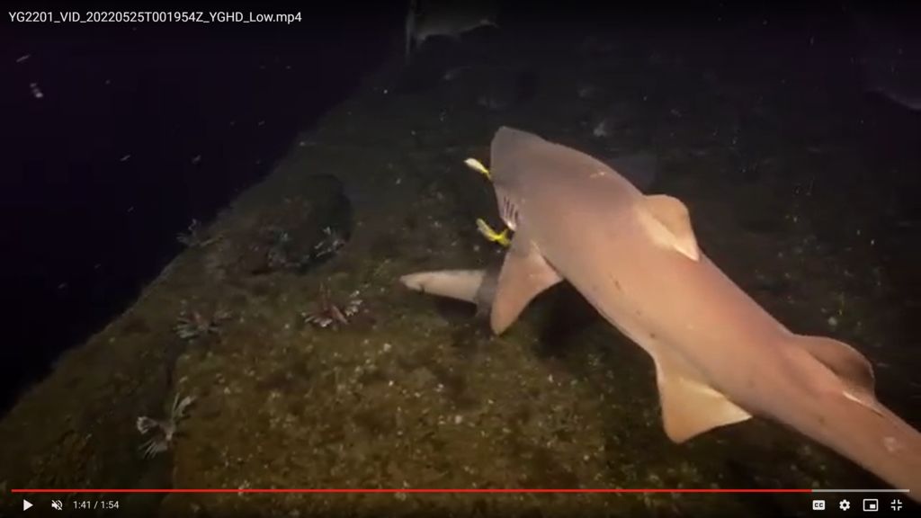 15950479-d3f7-4020-b5ae-d5e56bd1cbaa