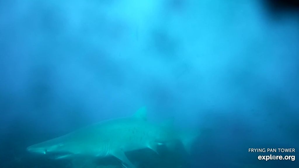 7fa7d091-5ecd-4b7d-920d-f2a7d818cf88