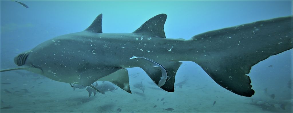 b2e07bb1-4055-486d-b208-fb13d0a2bb60