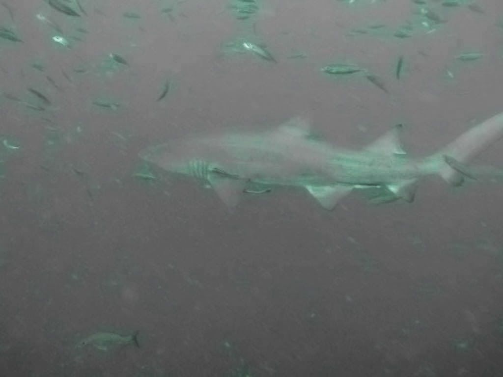 e92fefc3-0bda-4960-893b-59d5f9460f1d