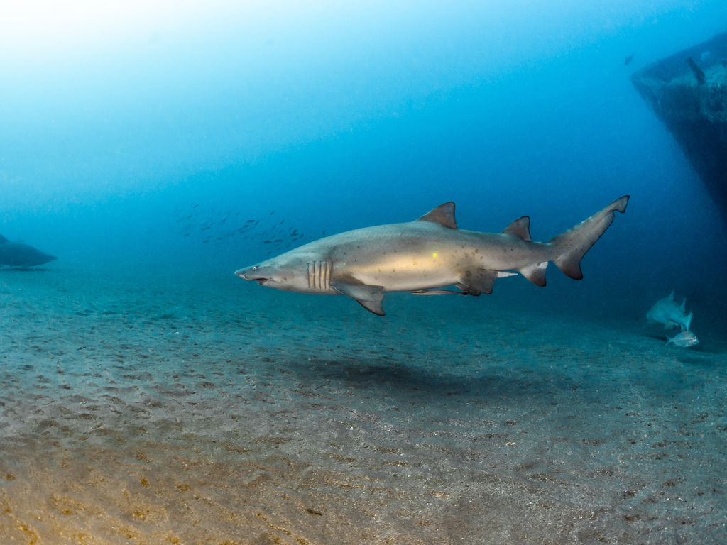 f9aa253a-d76f-45d8-82b1-8790d168ea79