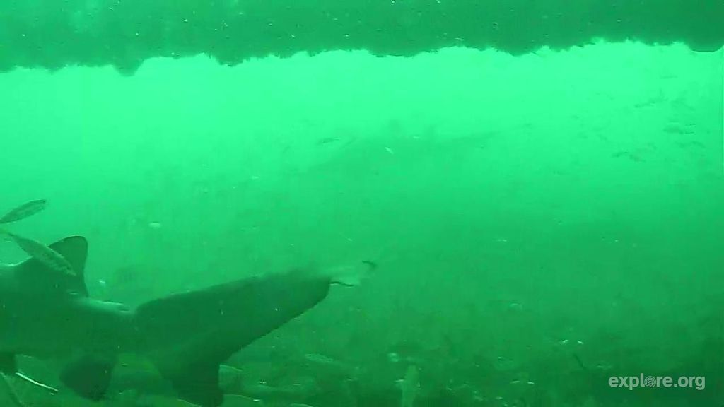 60144283-0fbb-4ad5-8fa7-9764f70b0c4f