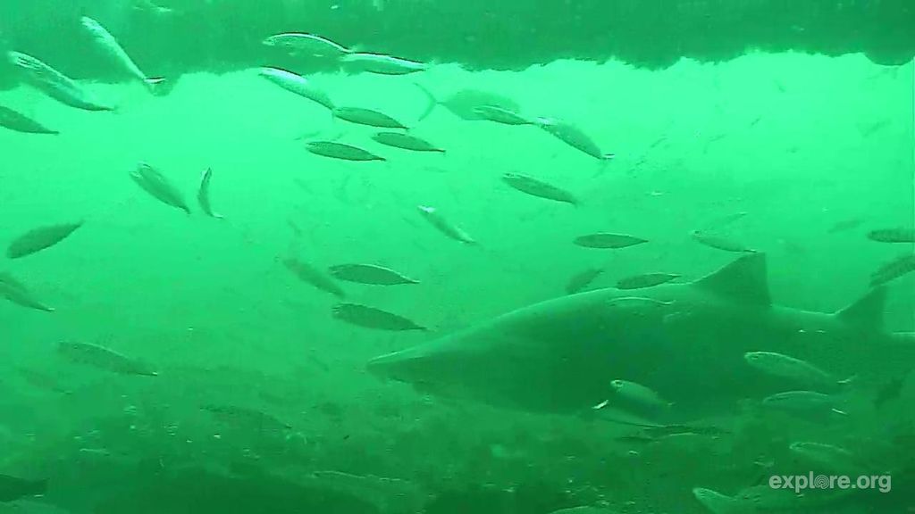 60144283-0fbb-4ad5-8fa7-9764f70b0c4f